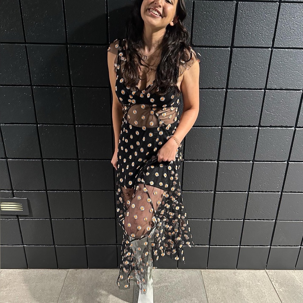 Urban Outfitters Dahlia Sheer Embroidered Dress